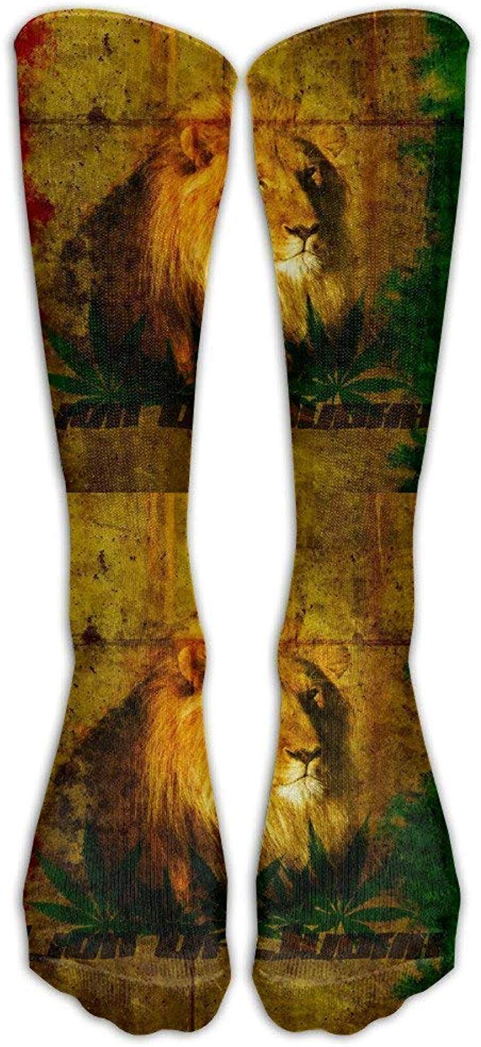 Lion Of Judah - HD Wallpaper 