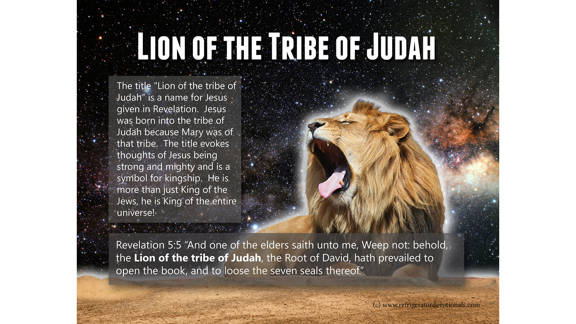 Lion Of The Tribe Of Judah - Jesus The Lion Of The Tribe Of Judah Revelation - HD Wallpaper 