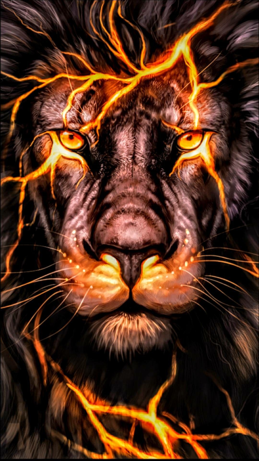 Fire Lion - HD Wallpaper 