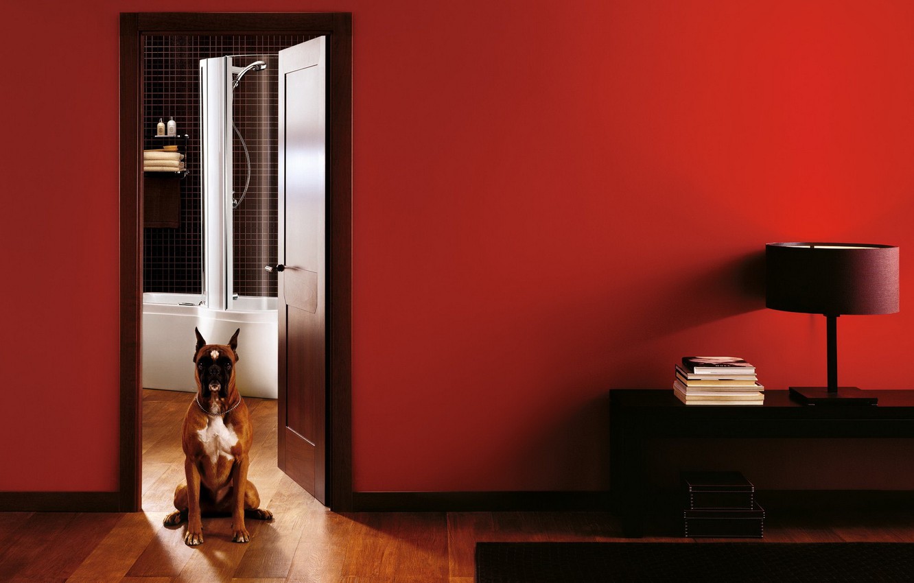 Photo Wallpaper Apartment, Boxer, Dog - Bedroom Door Stop Sign - HD Wallpaper 