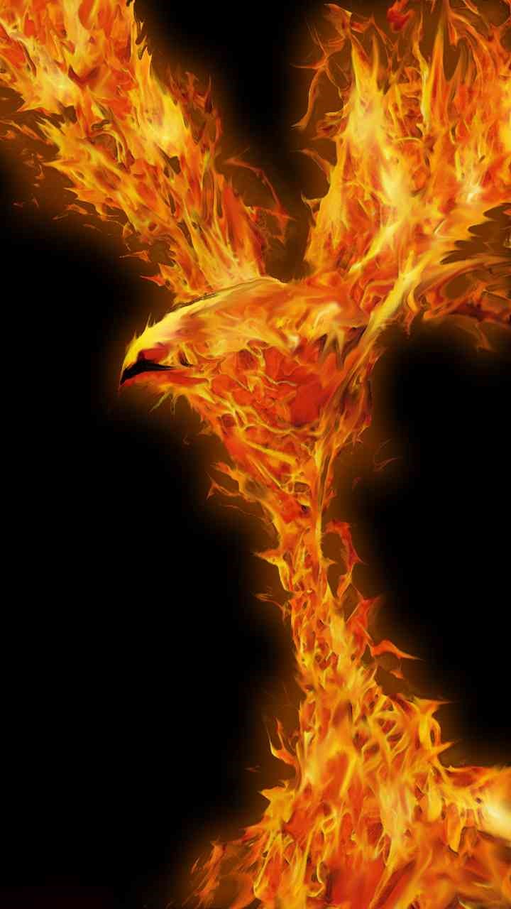 Phoenix Wallpaper Note 10 F13 S11 Wallpapers 58 - Phoenix - HD Wallpaper 