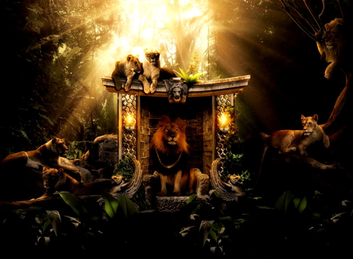 Lionz On Pinterest Lion Lion Of Judah And Statues - Lion In Jungle Hd - HD Wallpaper 