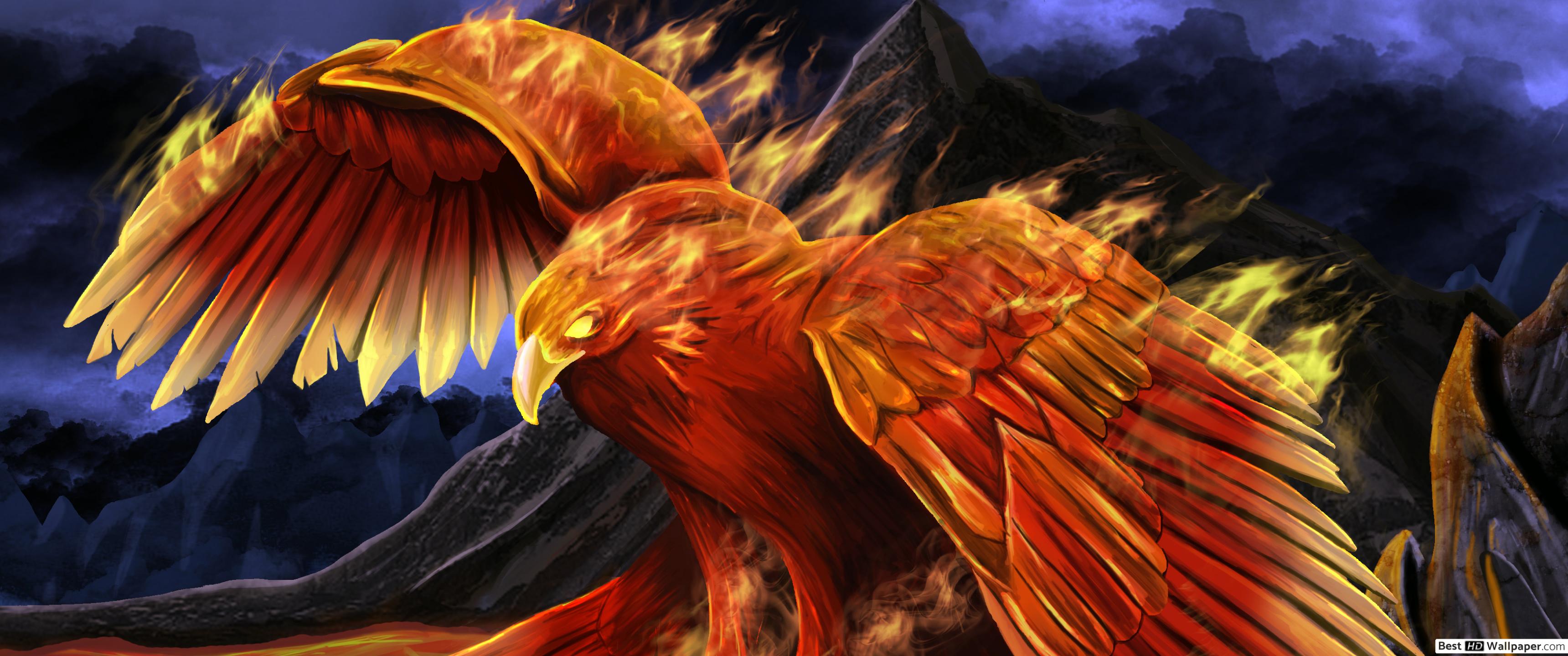 Bird Fire Fantasy - HD Wallpaper 