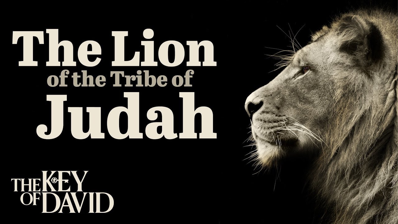 Lion Of The Tribe Of Judah Bible - HD Wallpaper 