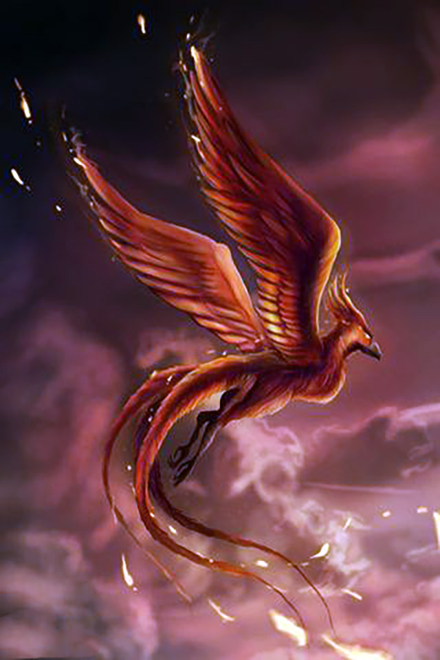 Phoenix Wallpaper Note 10 F13 S11 Wallpapers 15 - Phoenix - HD Wallpaper 