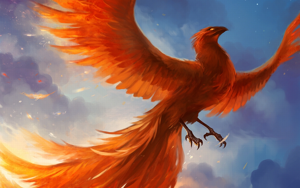 Phoenix Bird Wallpaper 1280x800 Wallpaper teahub.io
