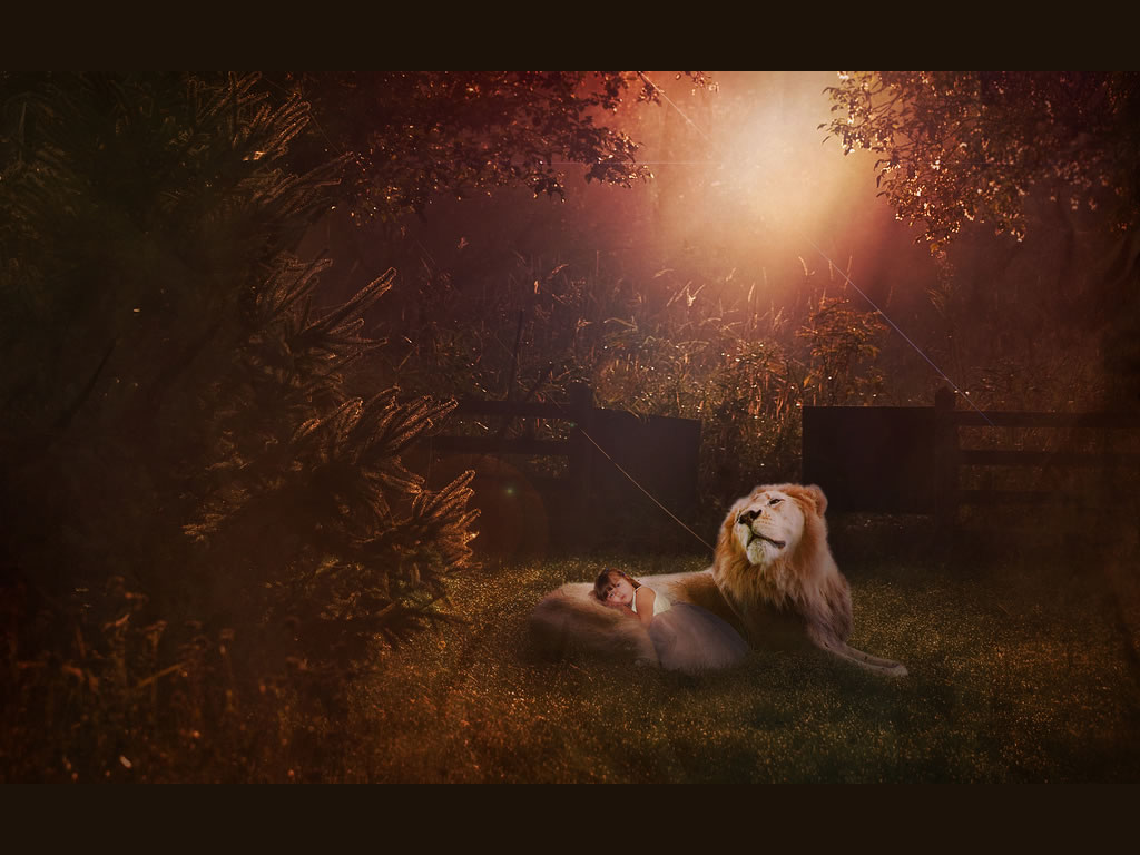 Child And Lion Christian Wallpaper Free Download - HD Wallpaper 