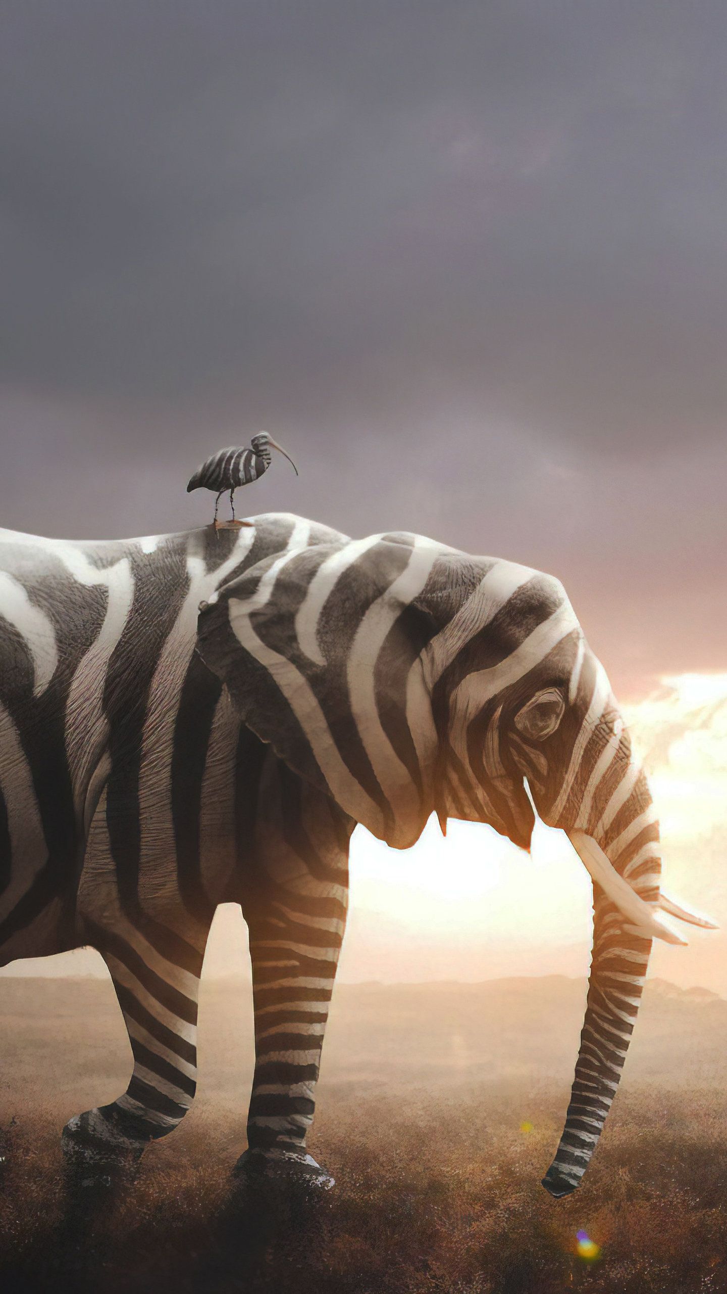 Funny Animal Phone - 1440x2560 Wallpaper Funny Animal Phone - 1440x2560 Wallpaper