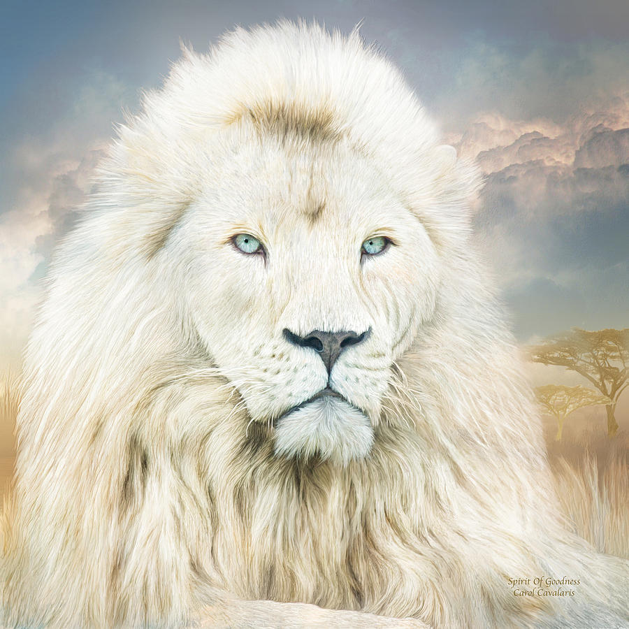 White Lion Spirit - HD Wallpaper 