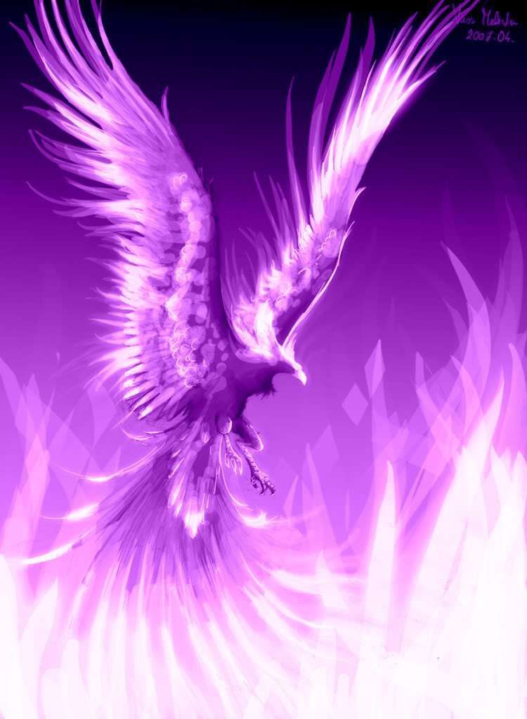 Phoenix Bird Wallpaper - HD Wallpaper 