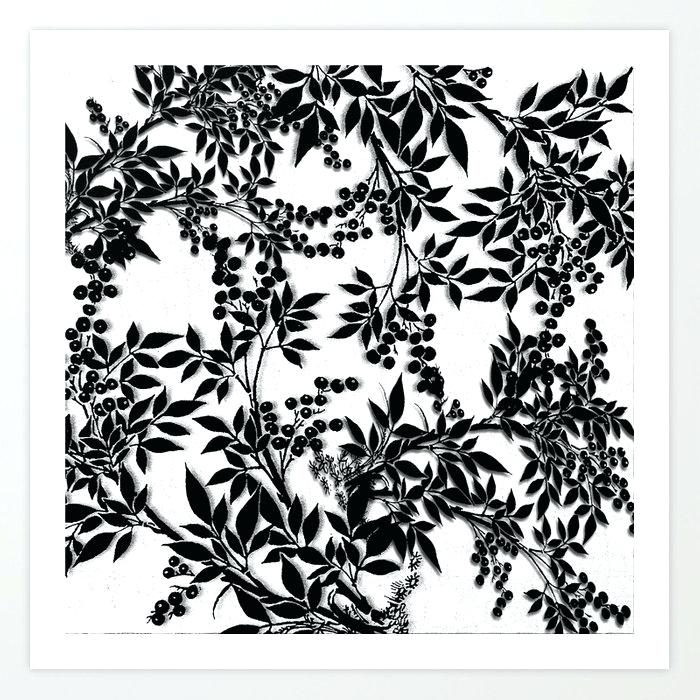 Black And White Toile Waverly Black And White Toile - Monochrome