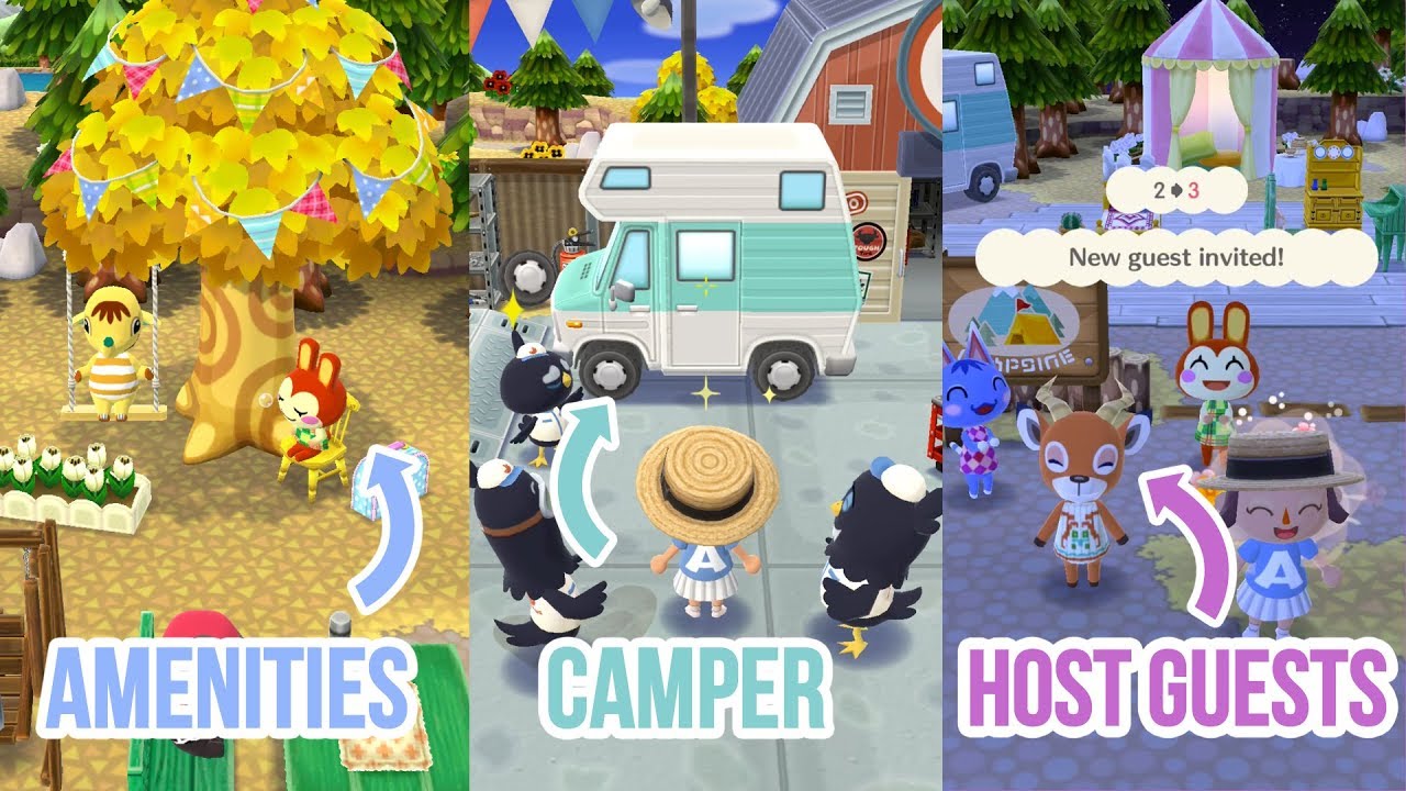 Animal Crossing Pocket Camp Campers - HD Wallpaper 