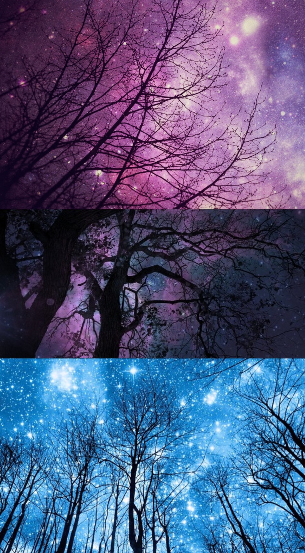 Bisexual Space And Forrest Iphone Wallpaper For Anon - Bisexual Lockscreens - HD Wallpaper 