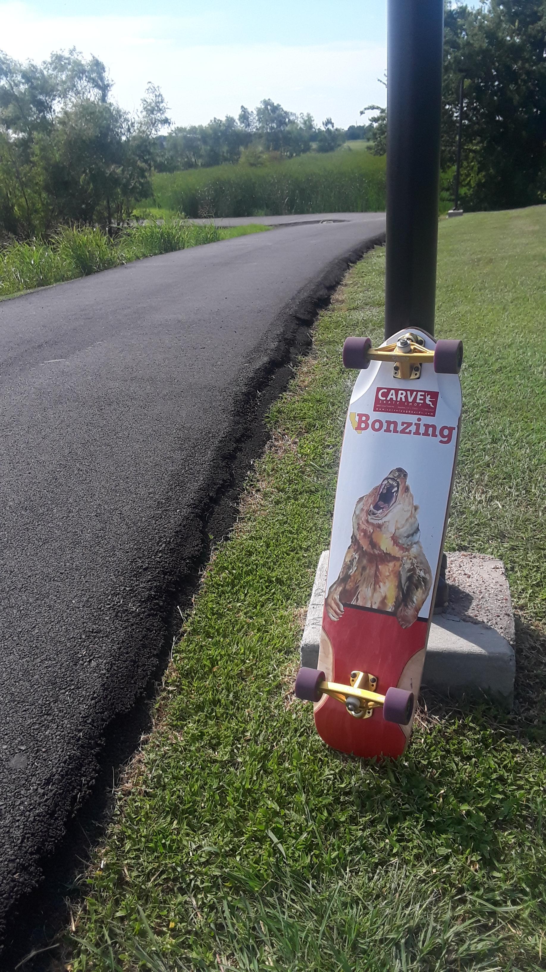 Grass - HD Wallpaper 