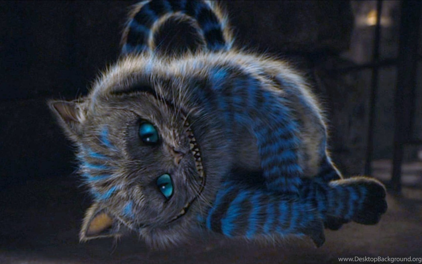Cheshire Cat Wallpaper Hd - HD Wallpaper 