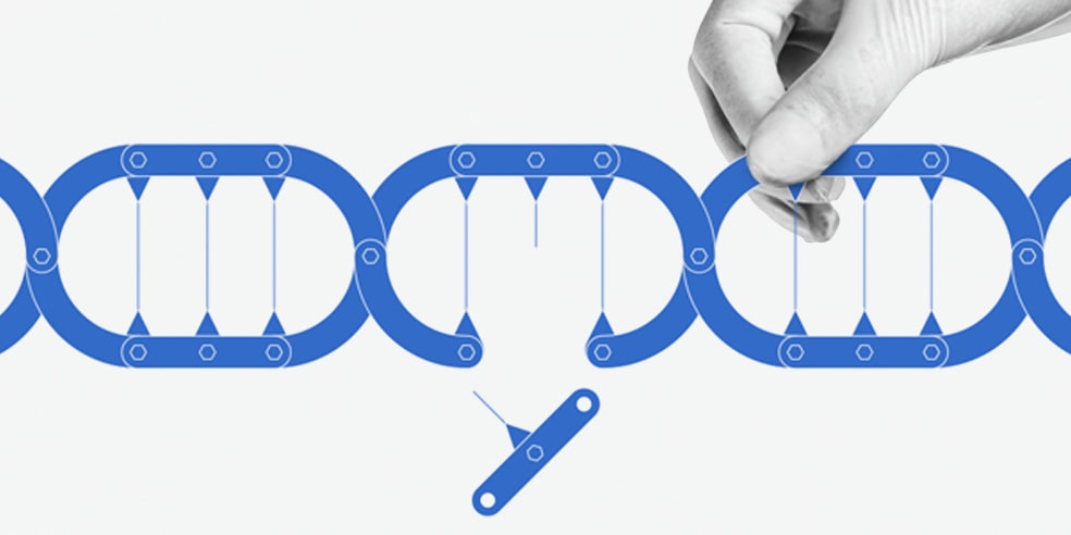 Access Our New Range Of Ready Made Knockout Cell Lines - Writing - HD Wallpaper 