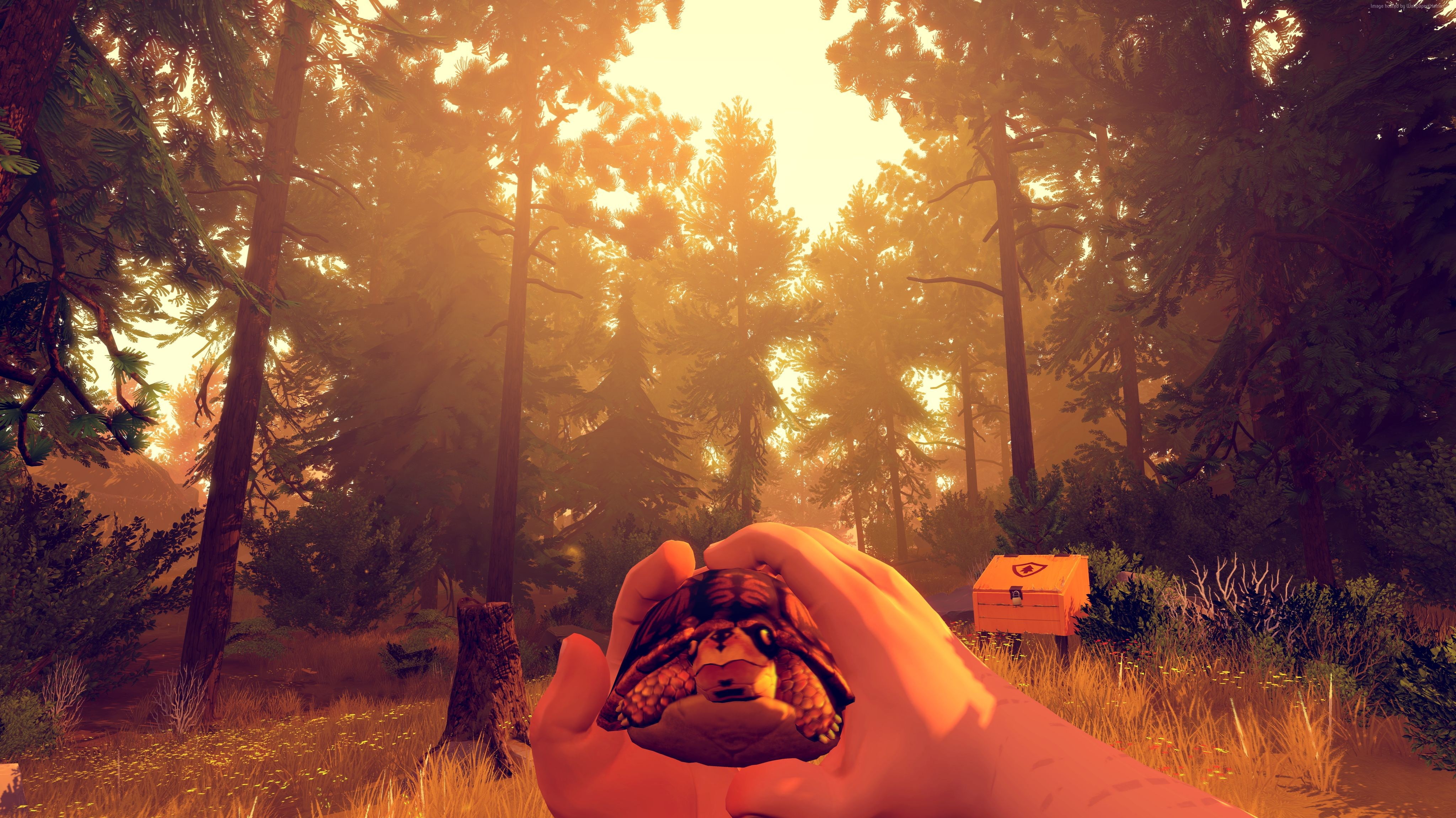 Firewatch Life Is Strange - HD Wallpaper 