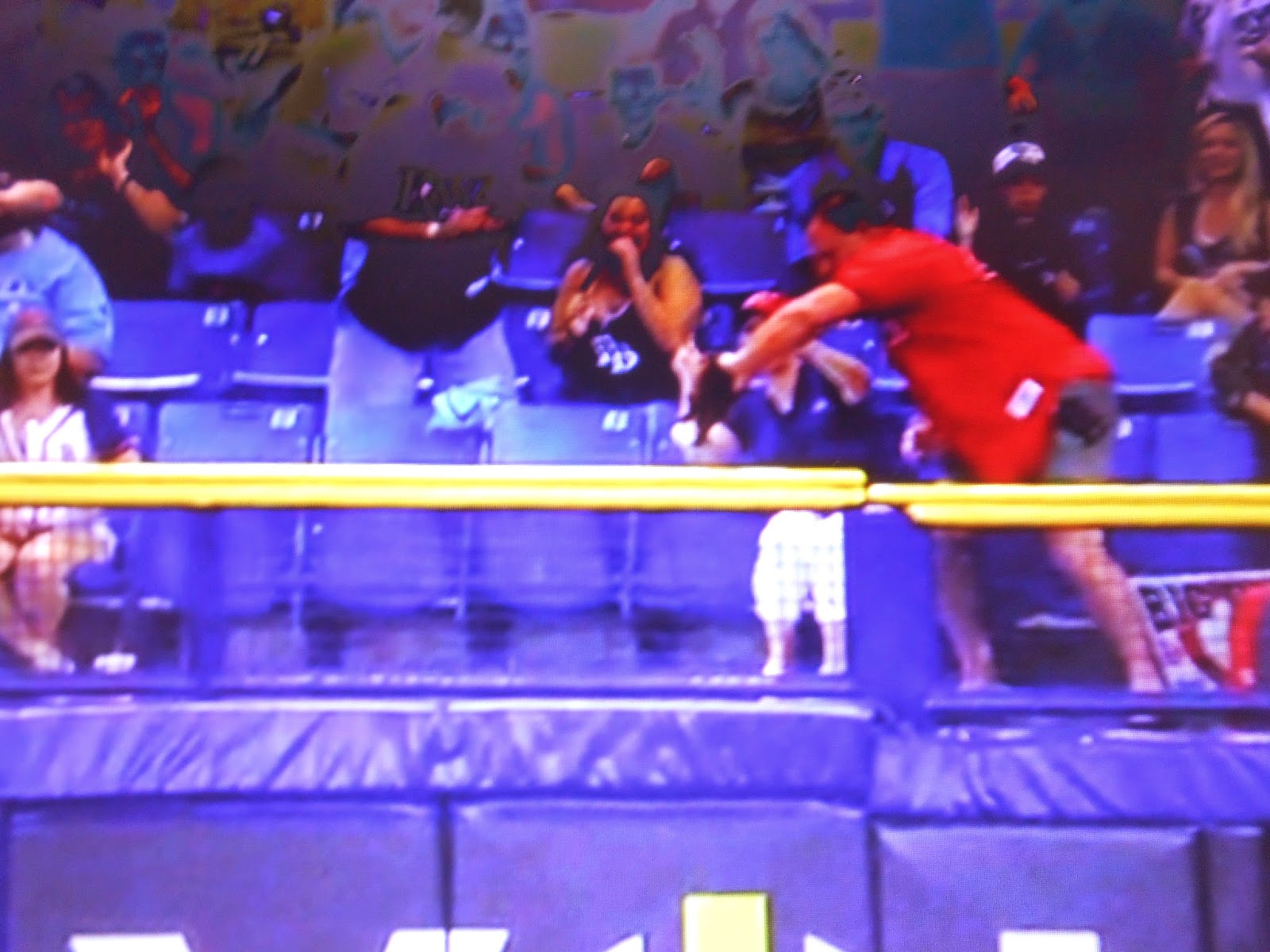 Audience - HD Wallpaper 