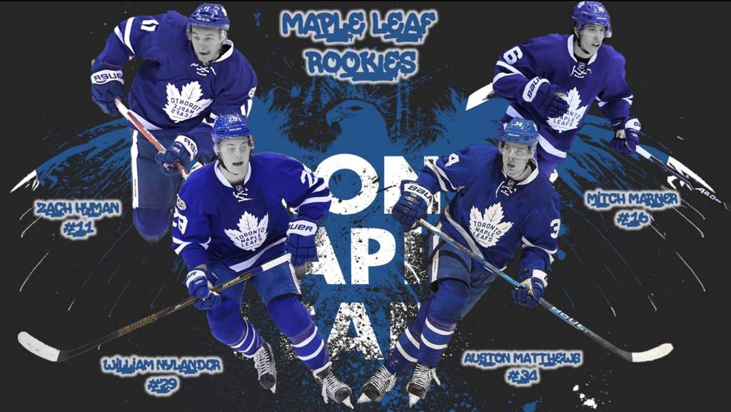 User Uploaded Image - College Ice Hockey - HD Wallpaper 