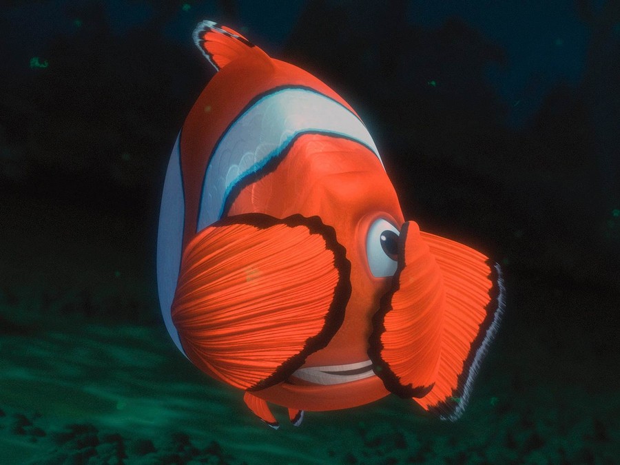 Nemo Hd - HD Wallpaper 