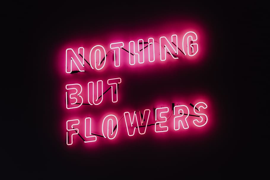 Nothing But Flowers Glowing Neon, Quote, Light, Pink, - Pink Glowing Flower - HD Wallpaper 