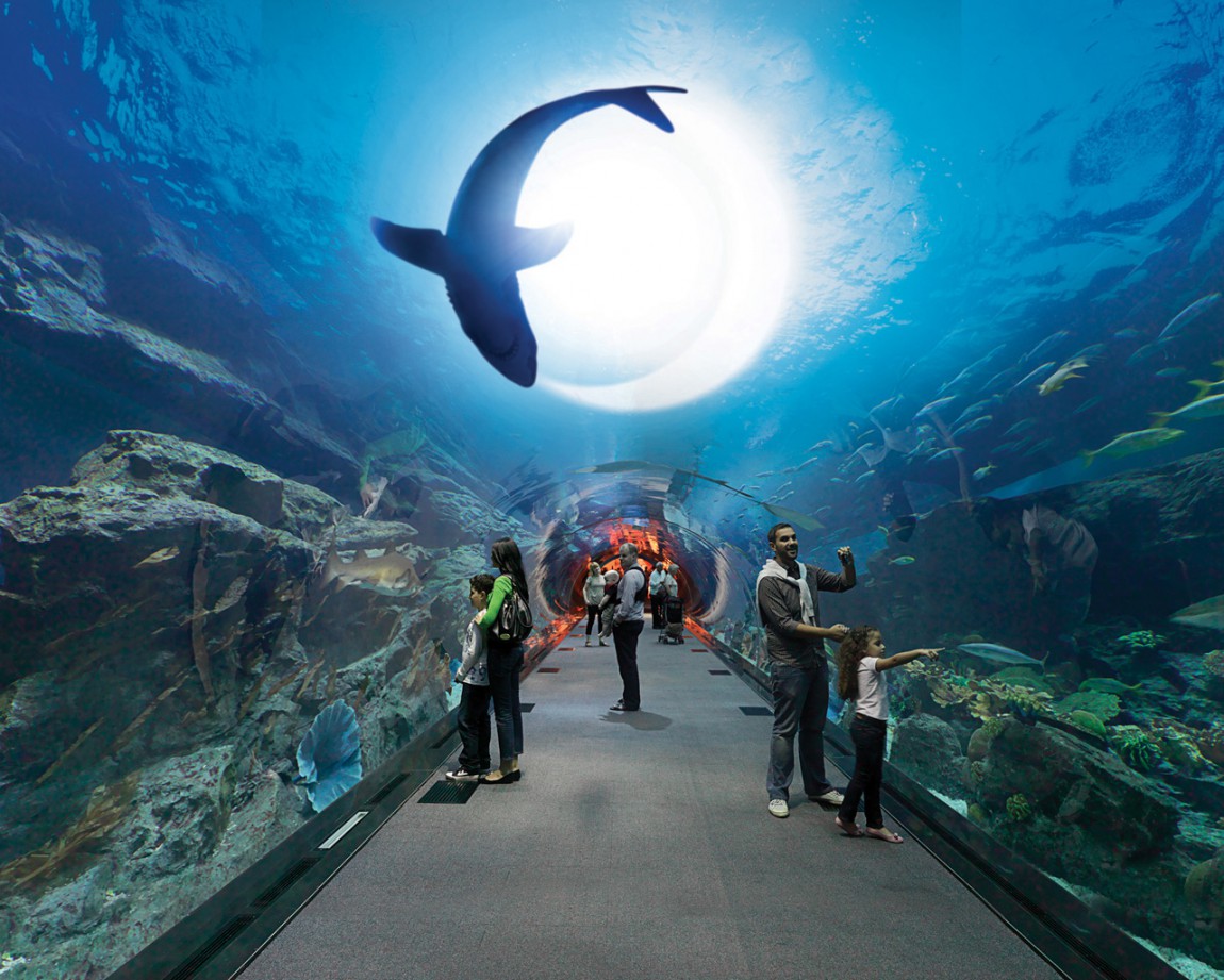 Dubai Mall Aquarium Diving Hd Wallpaper Berhel Tour - Burj Al Arab Underwater Hotel - 1150x921 Wallpaper Dubai Mall Aquarium Diving Hd Wallpaper Berhel Tour - Burj Al Arab Underwater Hotel - 1150x921 Wallpaper