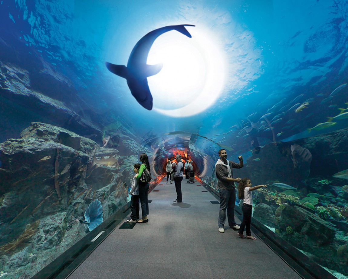 Dubai Mall Aquarium Diving Hd Wallpaper Berhel Tour - Burj Al Arab Underwater Hotel - HD Wallpaper 