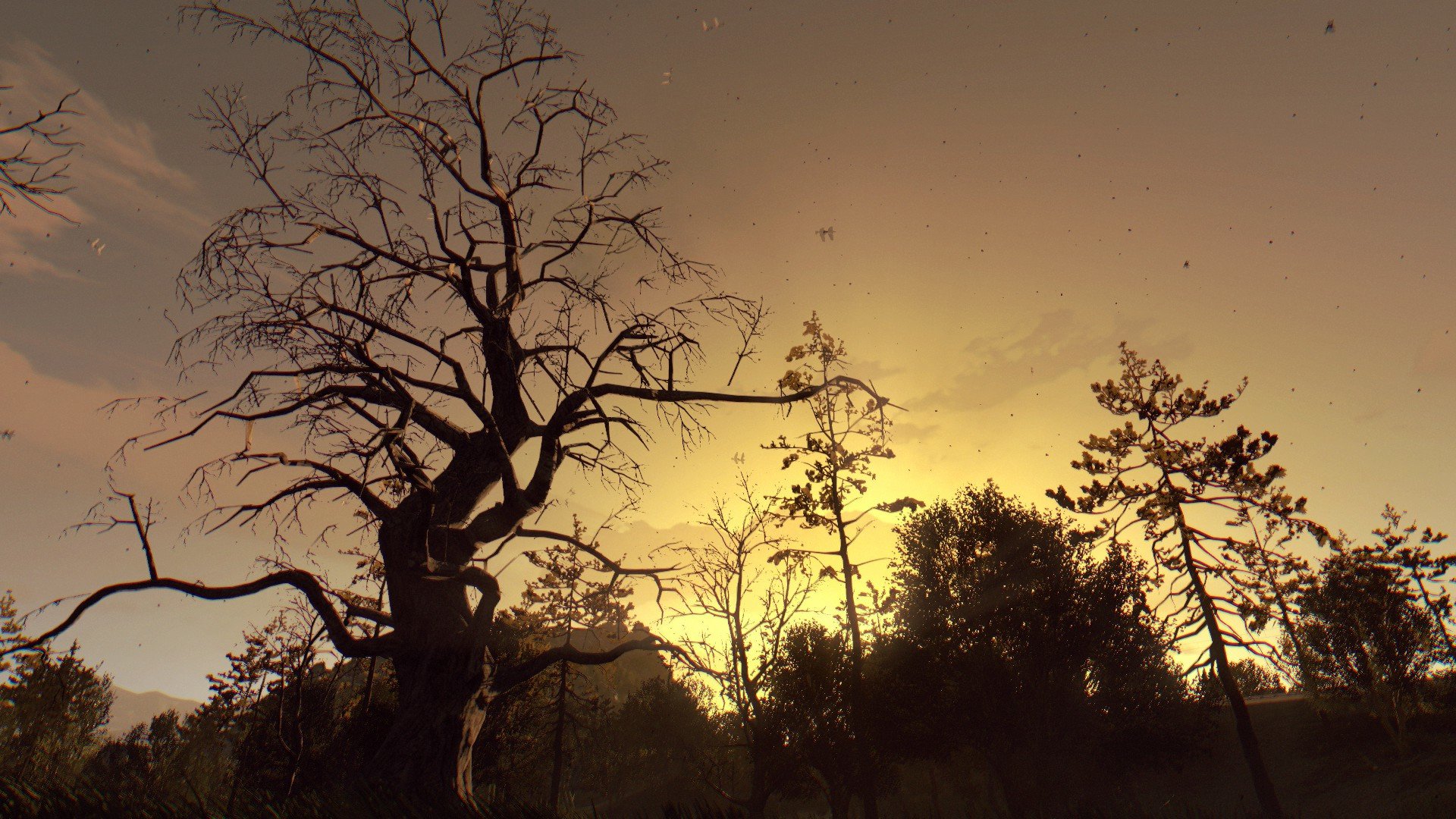 High Resolution Dying Light Hd Wallpaper Id - Dying Light Nature Background - HD Wallpaper 