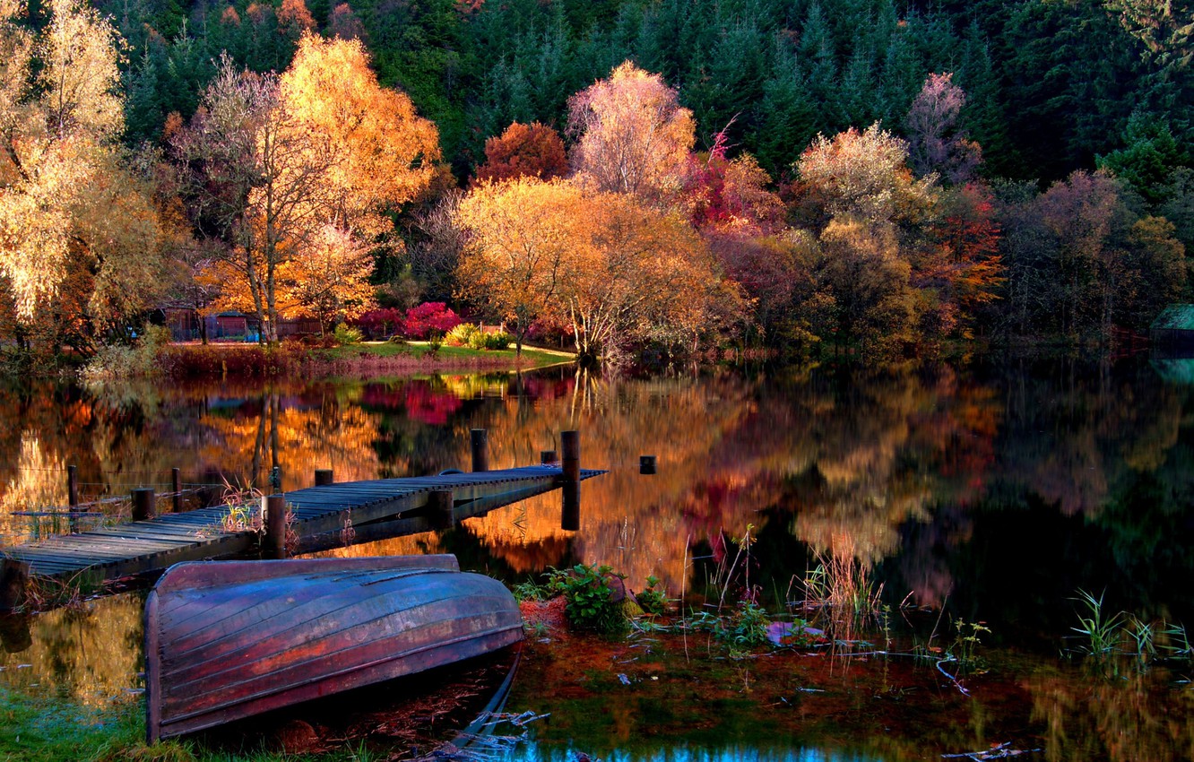 Photo Wallpaper Forest, Trees, Landscape, Nature, Autumn, - Hd Autumn - HD Wallpaper 