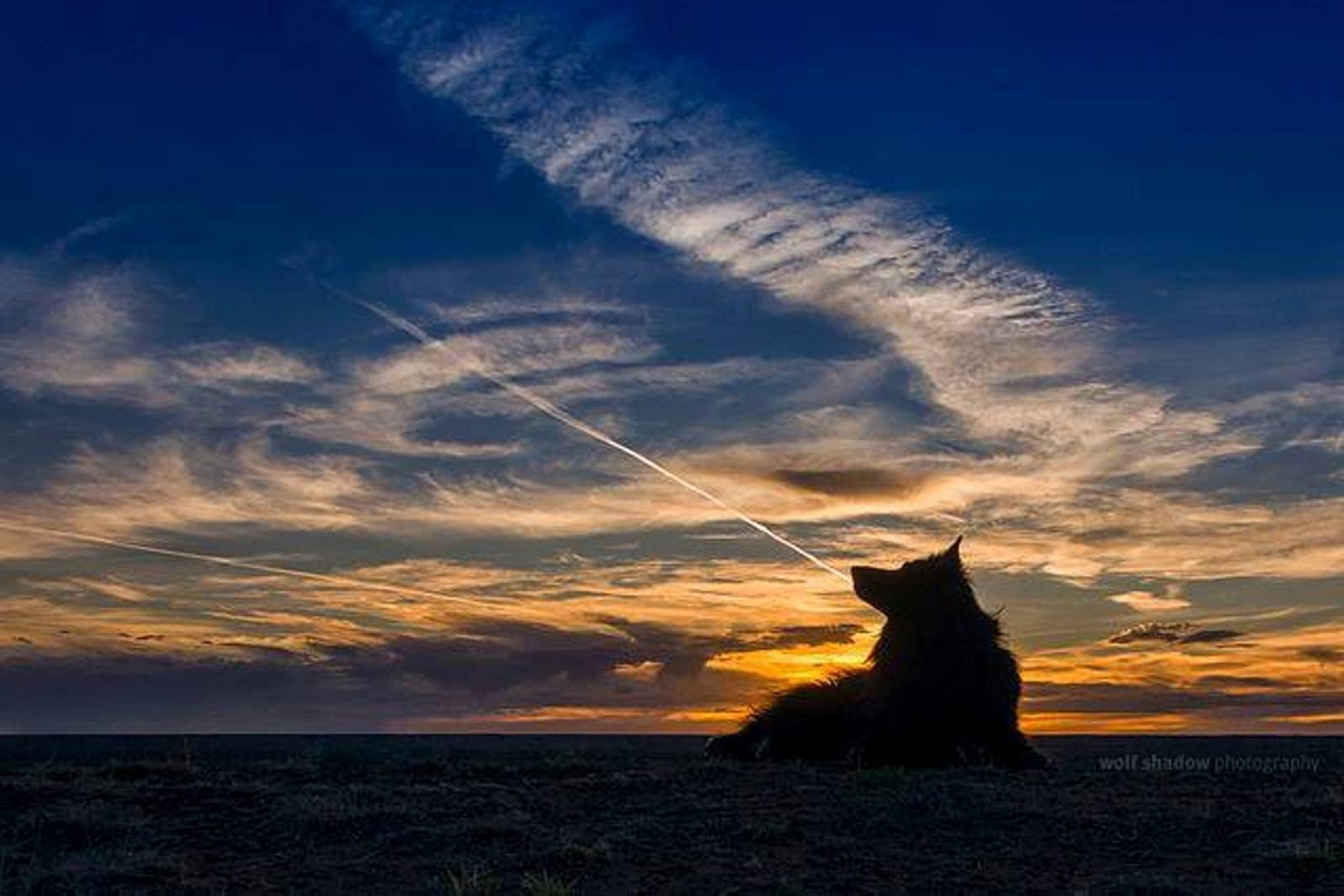 Sunset - HD Wallpaper 