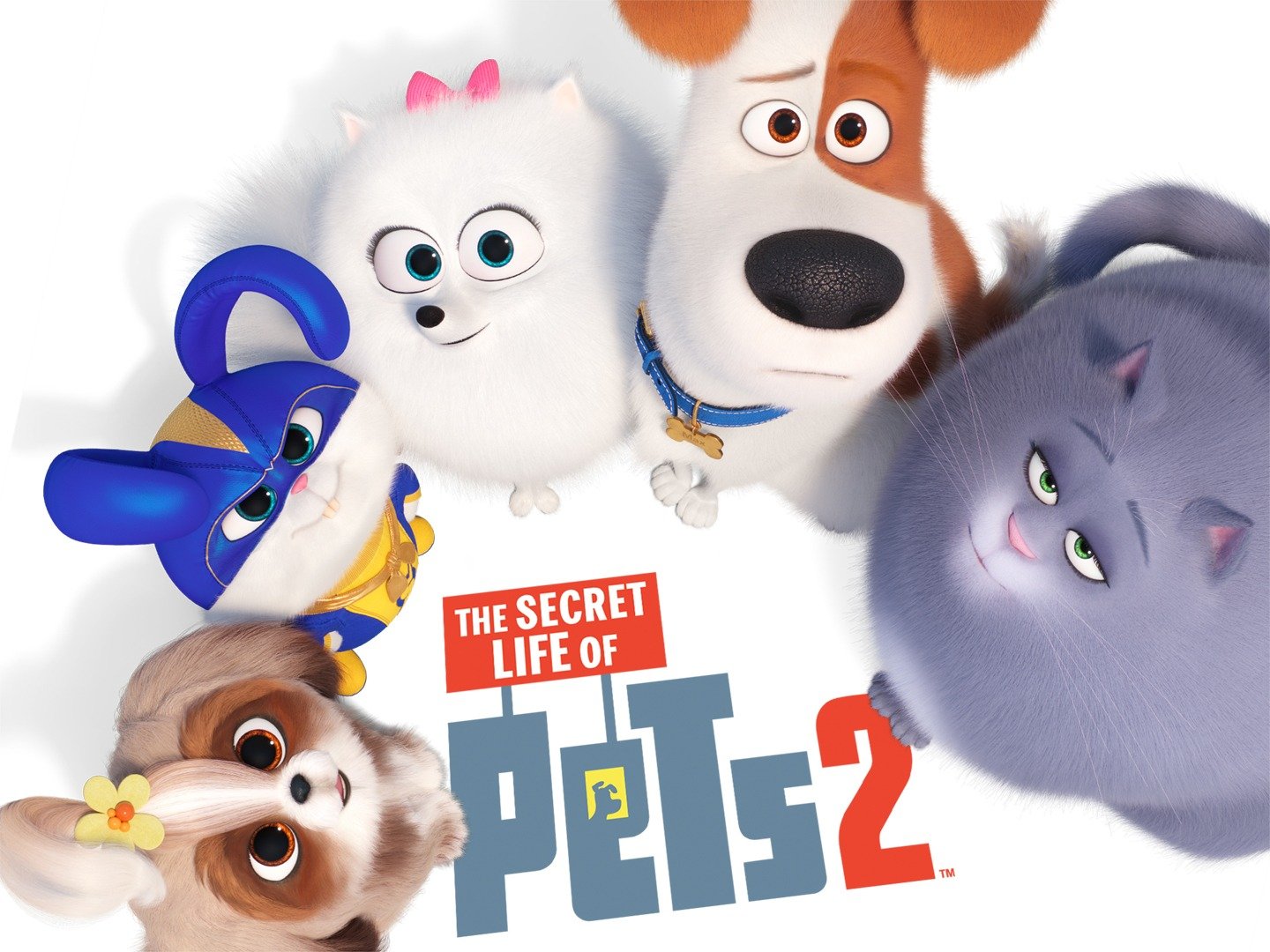 Secret Life Of Pets 2 2019 - HD Wallpaper 