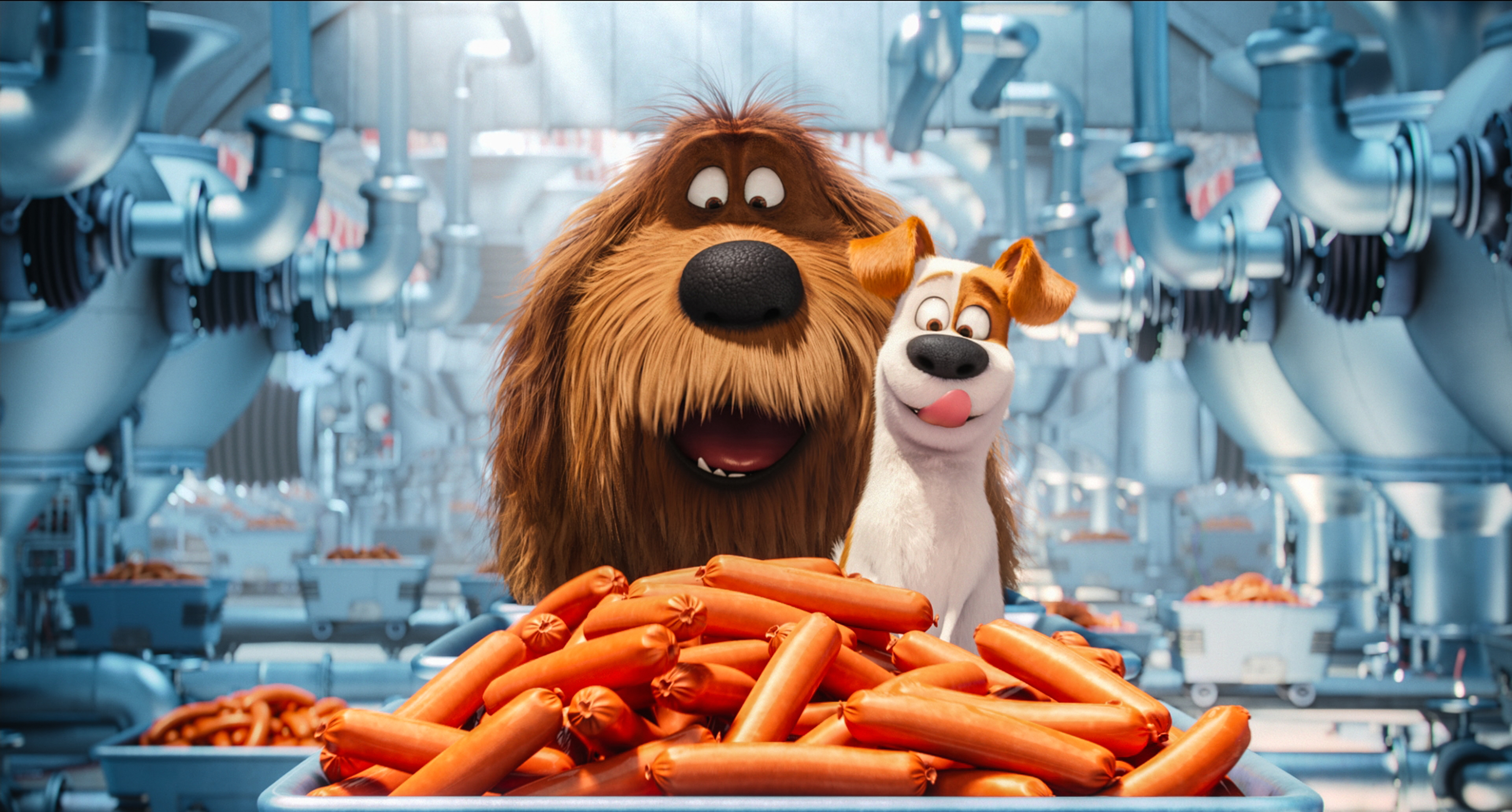 Secret Life Of Pets Sausage - HD Wallpaper 