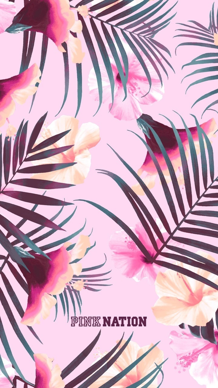 Wallpaper, Pink, And Background Image - Mobile Phone - HD Wallpaper 