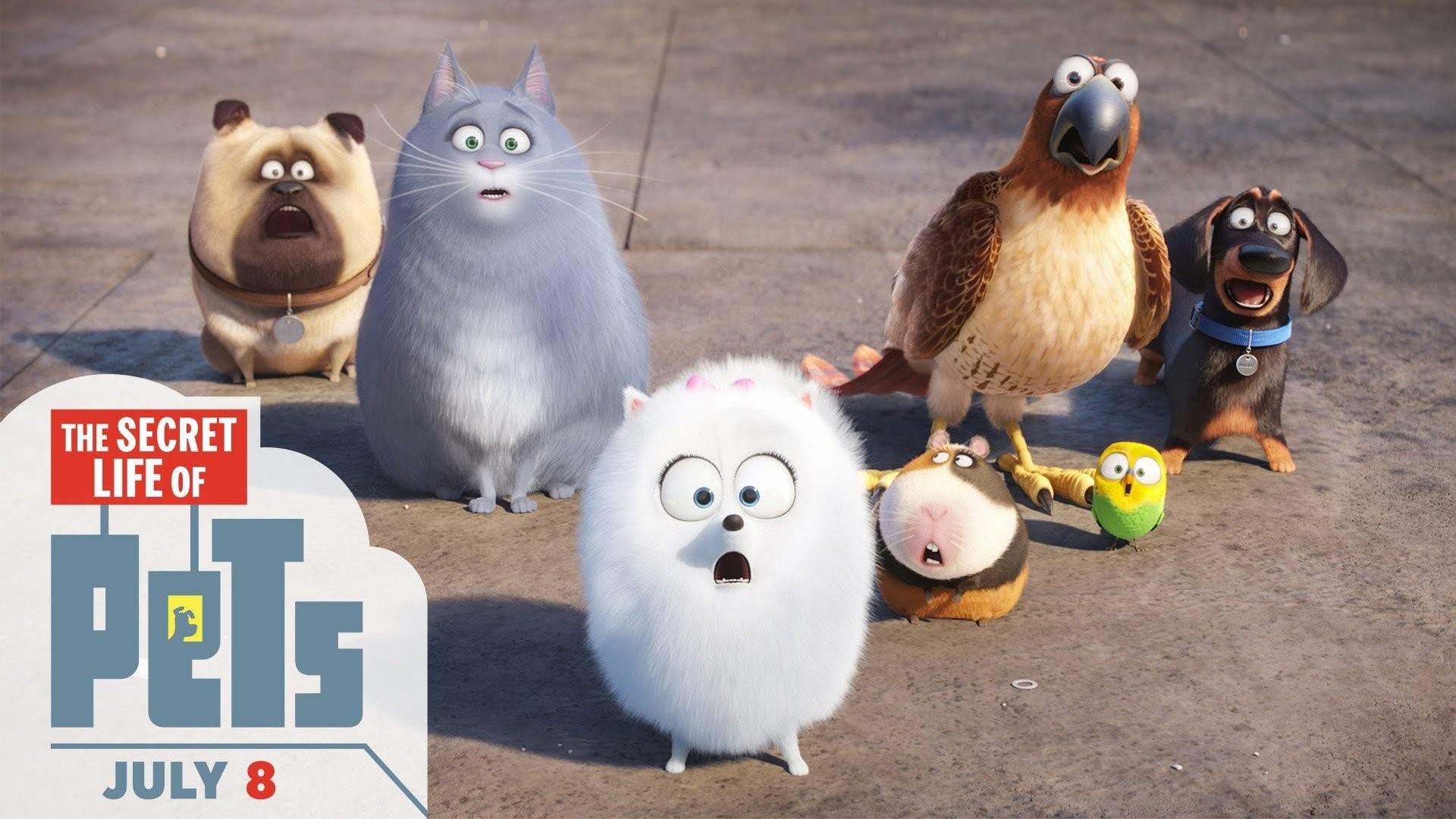 Secret Life Of Pets - HD Wallpaper 