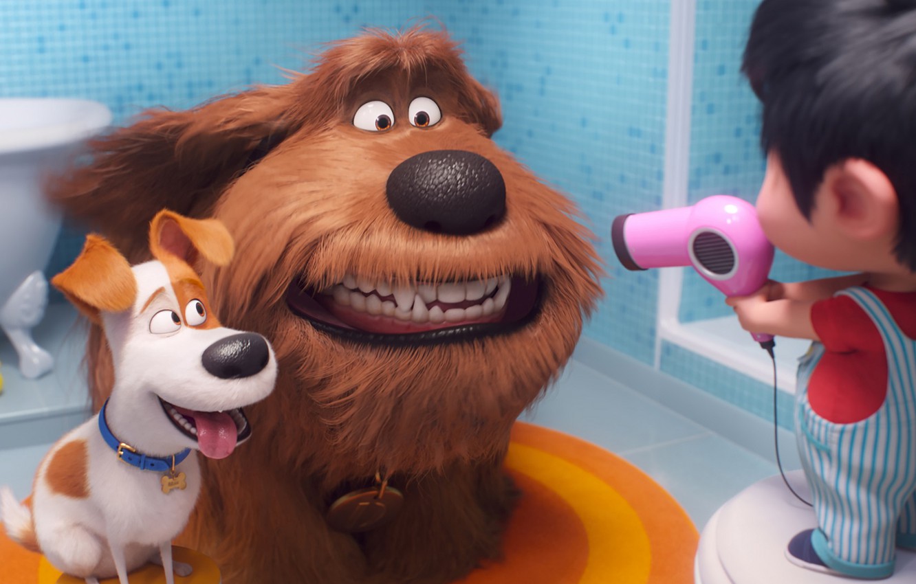 Photo Wallpaper Animals, Dogs, Baby, Hairdryer, The - Secret Life Of Pets 2 Dogs - HD Wallpaper 