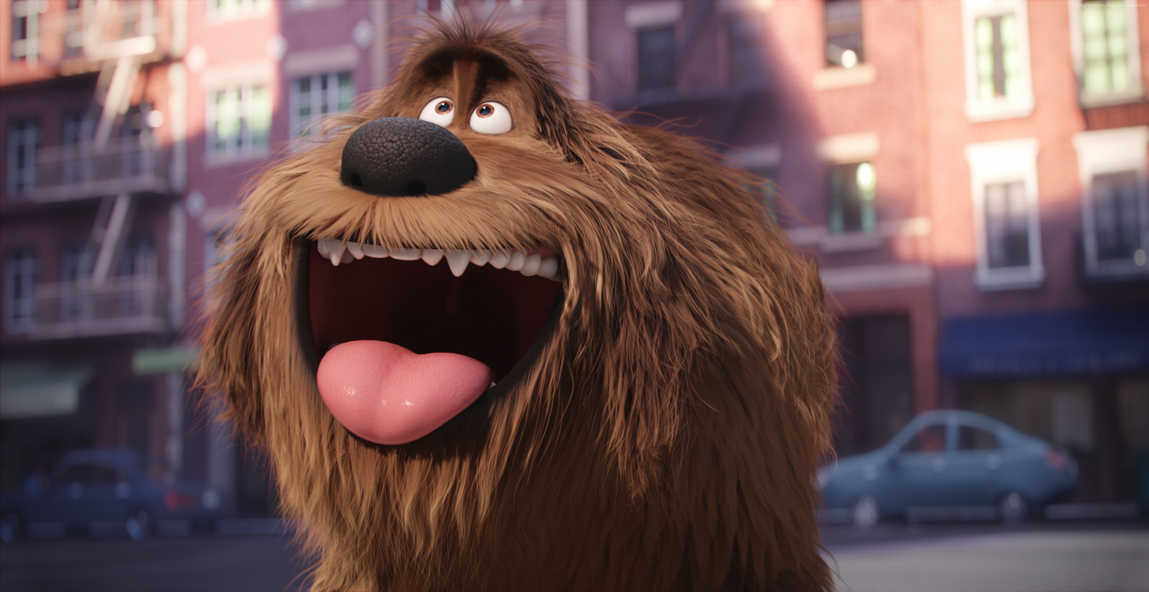 Secret Life Of Pets Dog - HD Wallpaper 