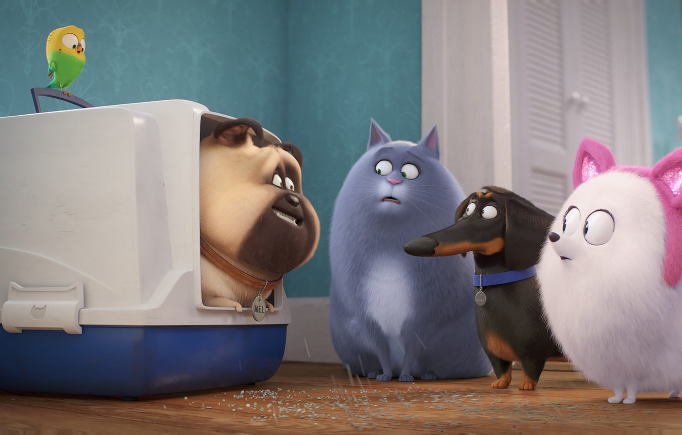 Photo Wallpaper Cat, Animals, Dogs, Rabbit, Parrot, - Secret Life Of Pets 1 And 2 - HD Wallpaper 