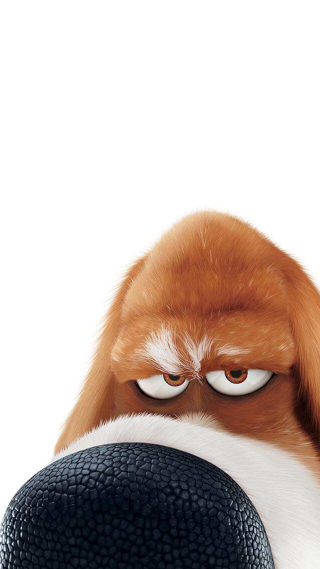 Poster The Secret Life Of Pets 2016 - HD Wallpaper 