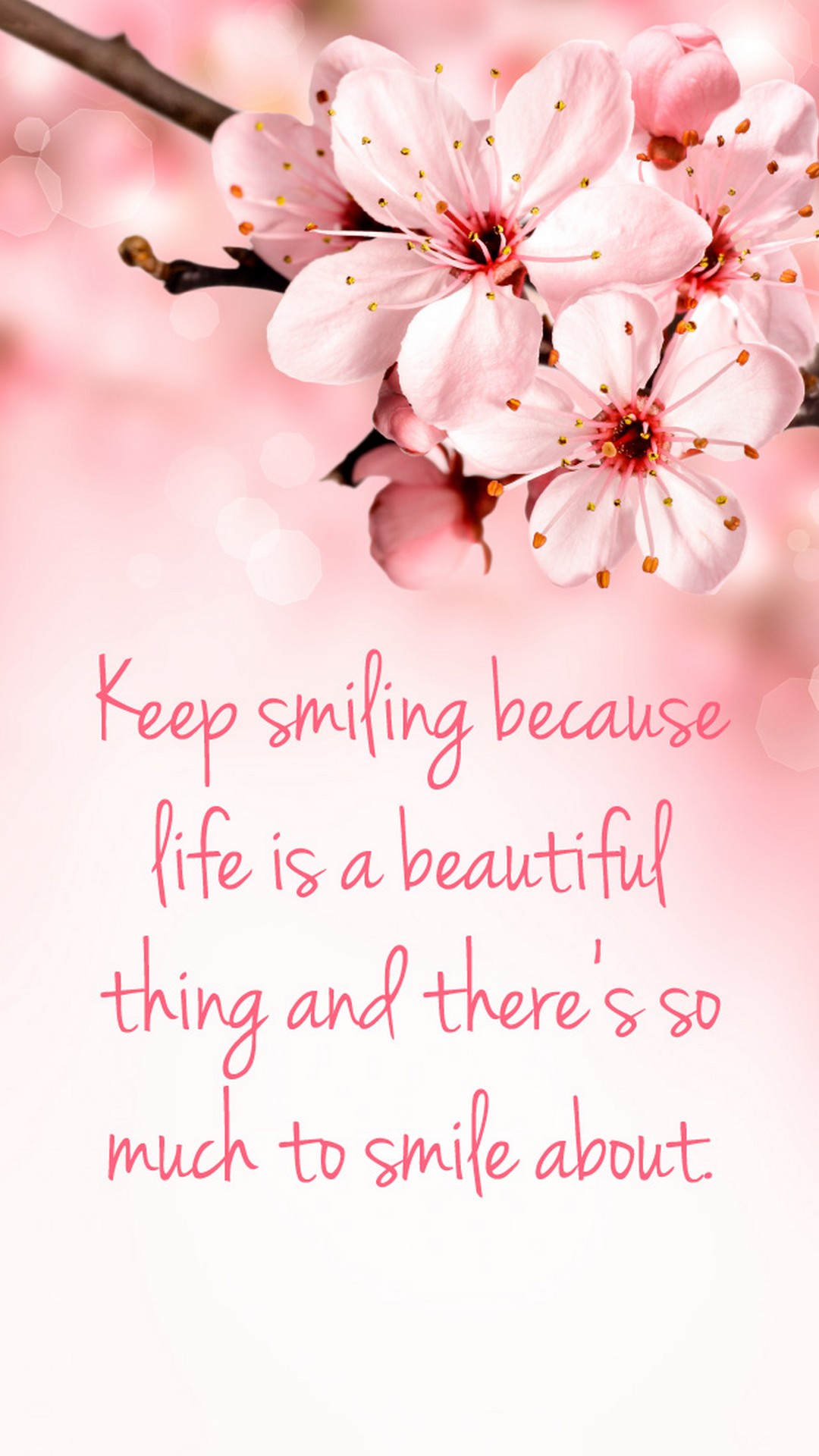 Quotes Pink Wallpaper For Mobile - Cherry Blossom Quote Background -  1080x1920 Wallpaper 