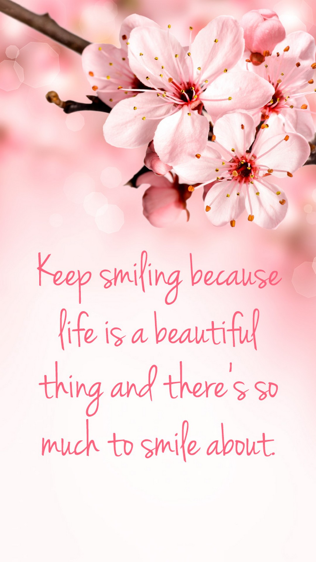 Quotes Pink Wallpaper For Mobile - Cherry Blossom Quote Background - HD Wallpaper 