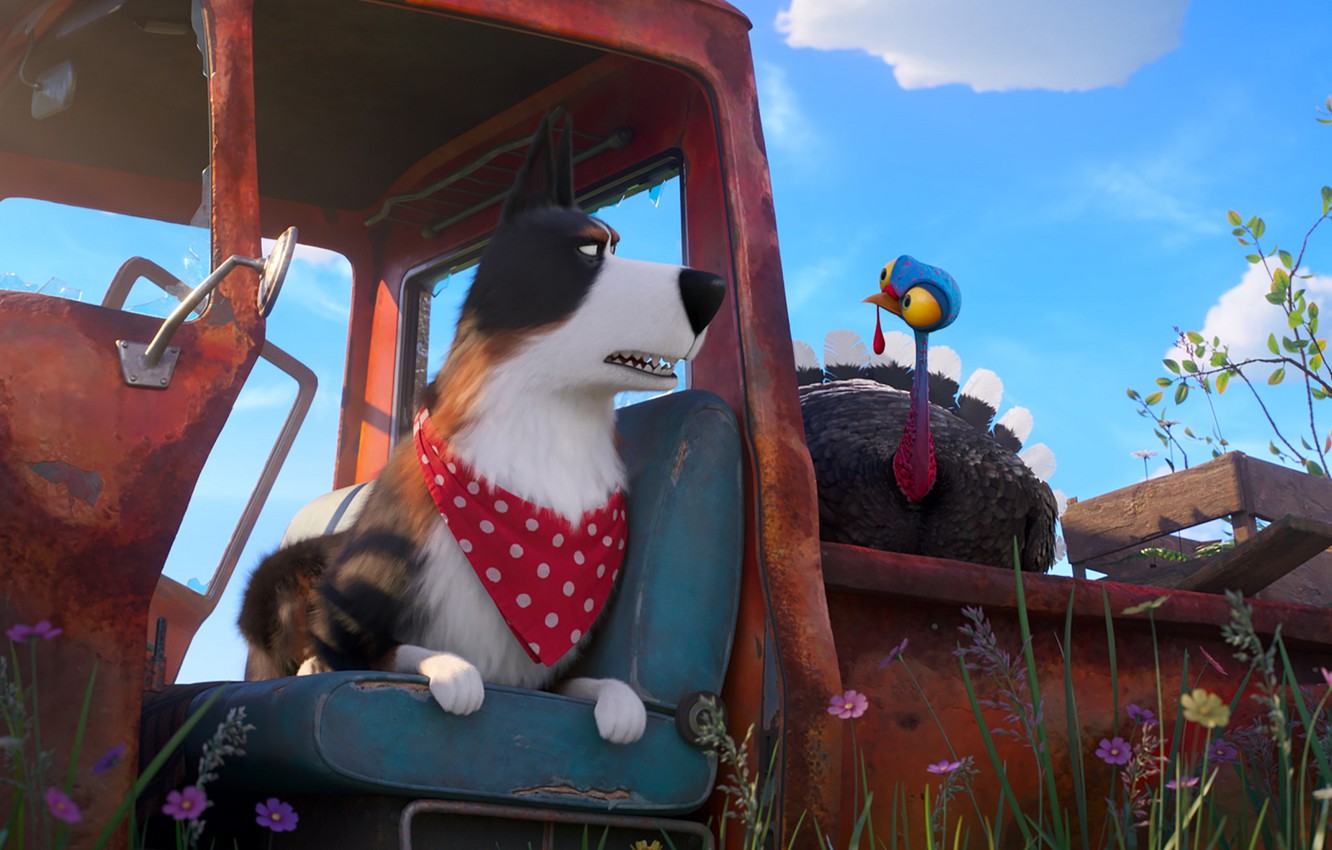 Photo Wallpaper Dog, Turkey, The Secret Life Of Pets - Secret Life Of Pets 2 Rooster Turkey - HD Wallpaper 