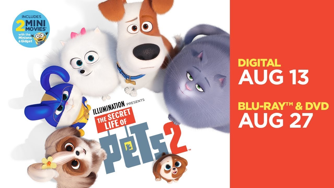 Secret Life Of Pets 2 Movie - HD Wallpaper 