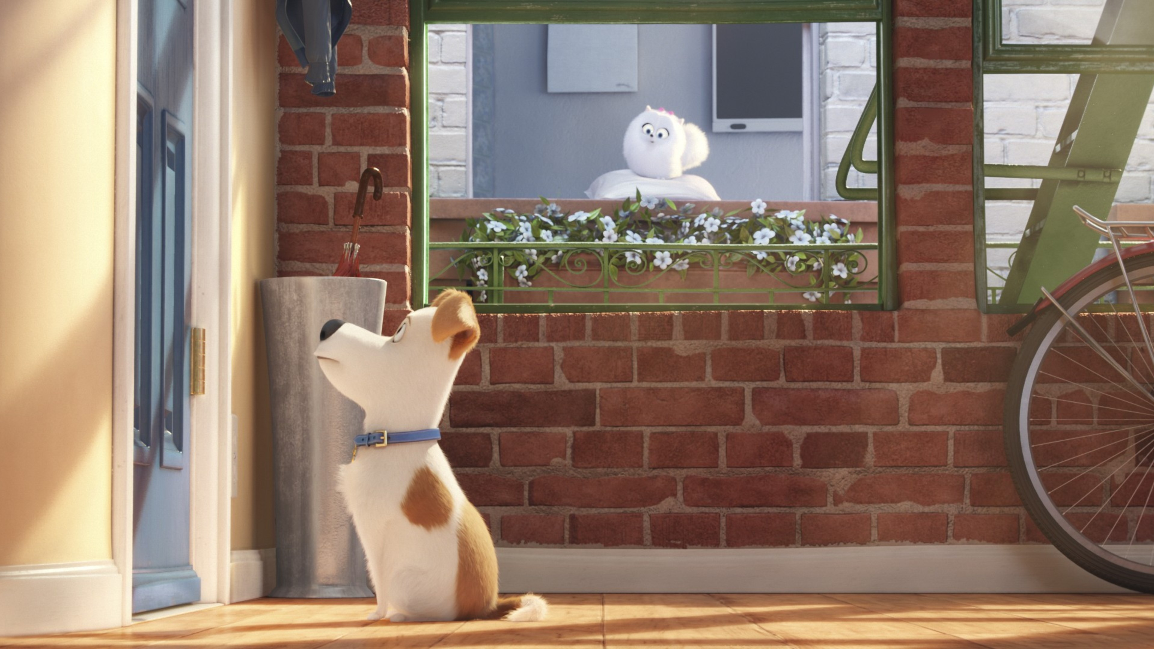 The Secrete Life Of Pets Movie Main Character - Secret Life Of Pets Background - HD Wallpaper 