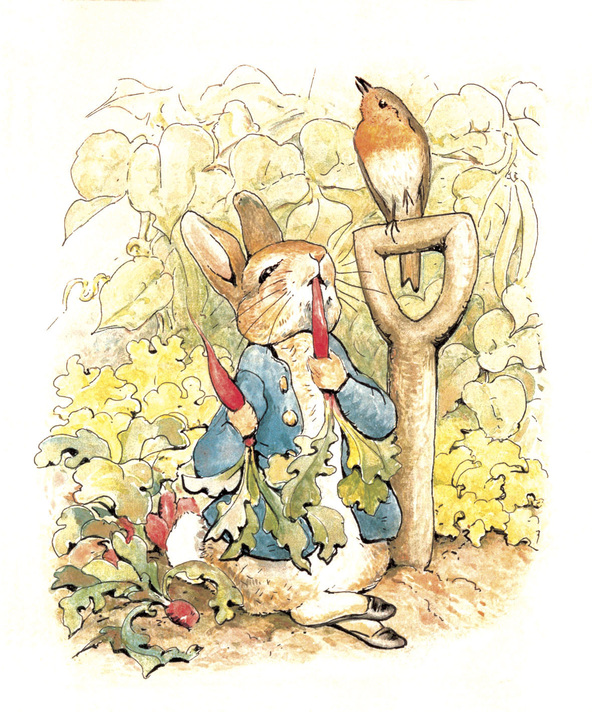 Beatrix Potter Peter Rabbit - HD Wallpaper 