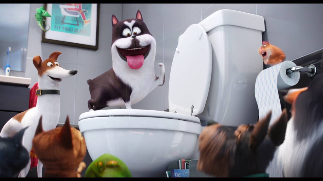 Secret Life Of Pets Collie - HD Wallpaper 