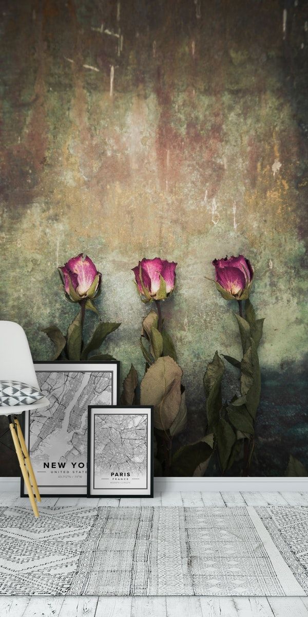 Black And White Movie Wall Mural - HD Wallpaper 