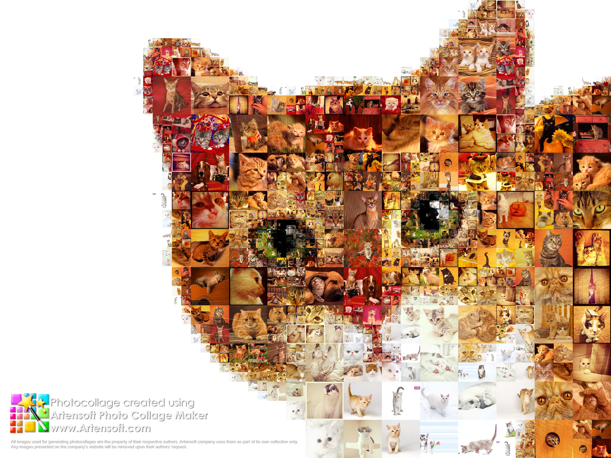 Artensoft Photo Collage Maker Is The Best Program For - Best Collage - 2000x1500 Wallpaper Artensoft Photo Collage Maker Is The Best Program For - Best Collage - 2000x1500 Wallpaper