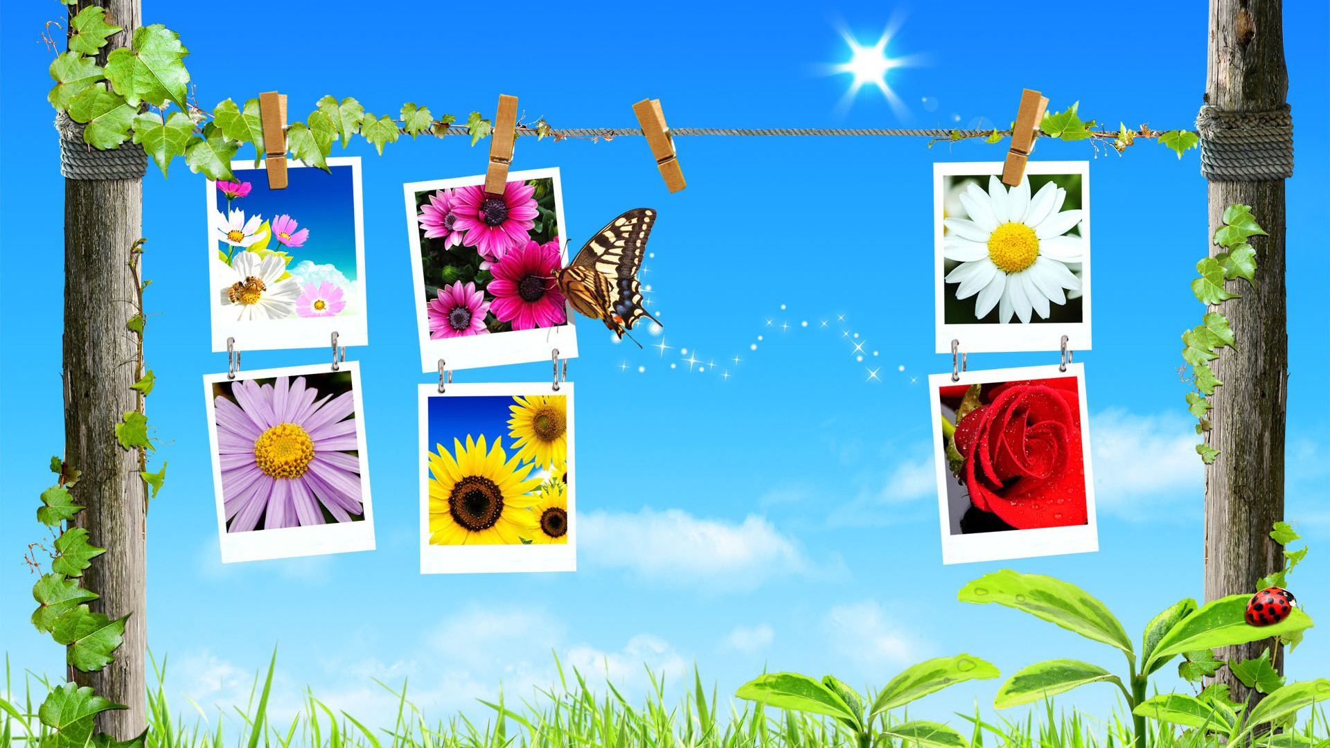 Background Design For Photo Collage - HD Wallpaper 