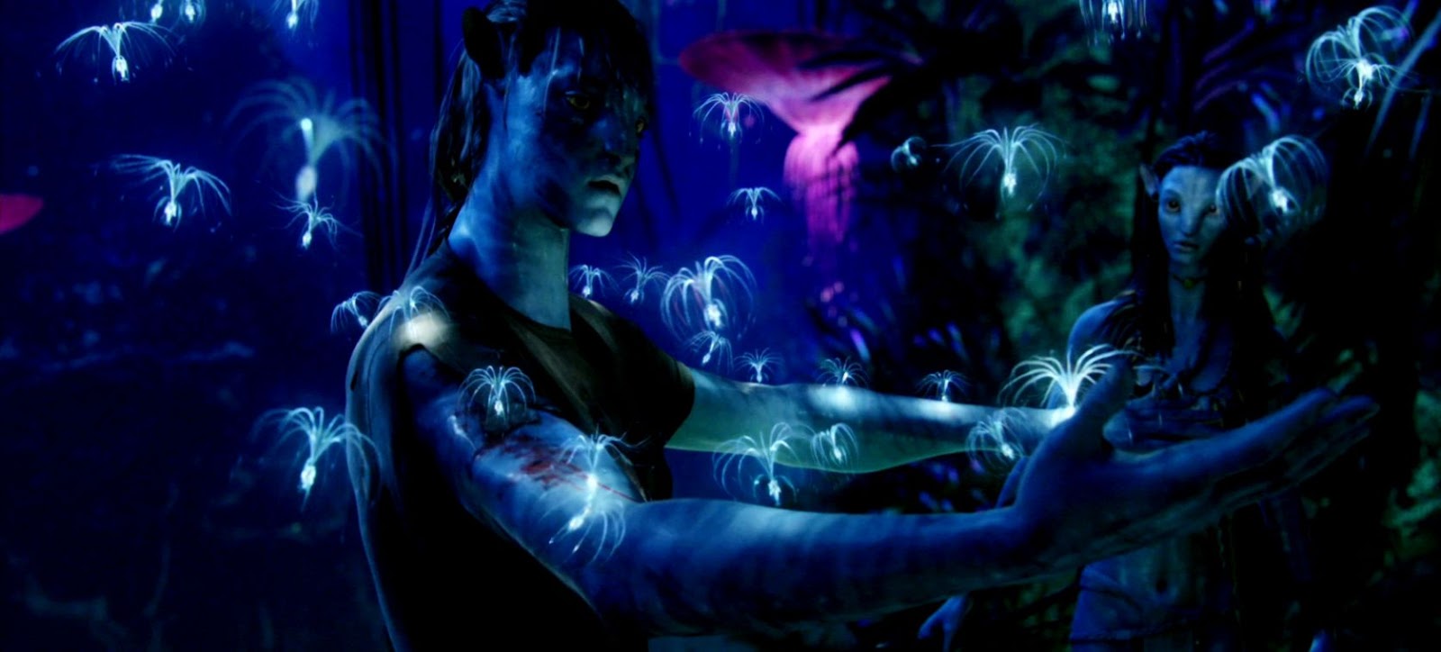 Avatar Movie Wallpapers Free Download Group - Avatar Movie Wallpaper For Phone - HD Wallpaper 