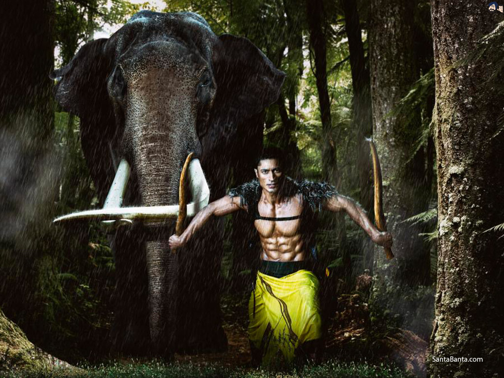 Junglee - Junglee 2018 - HD Wallpaper 